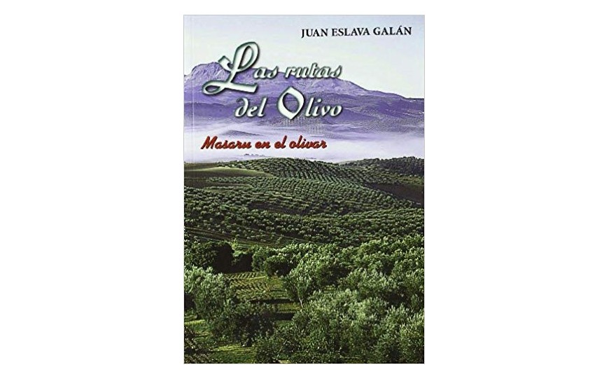 THE OLIVE ROUTES IN ANDALUCIA: MASARU IN THE OLIVAR